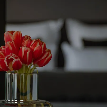 A-rosa Collection Ceres Am - Adults Only Ξενοδοχείο 5*