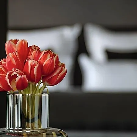 A-rosa Ceres Am - Adults Only 5* Binz